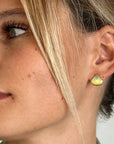 Muschel Ohrstecker